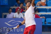 fabio-fognini-53-umag-july24-2013.jpg