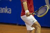 richard-gasquet-45-umag-july24-2013.jpg