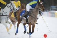 us-polo-assn-t-vs-hotel-de-la-poste-t-50.jpg